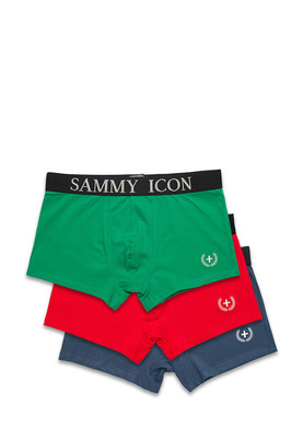 Sammy Icon   3 